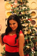 Veena Malik Celebrating Christmas on 20th Dec 2012 (4).JPG